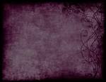 Cambridge Escorts | Cambridgeshire escort services | CB1 Cambridge