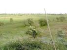 Cardowan Moss is a remnant raised bog bordered by wetland habitats, - via Daymix