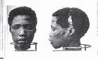 Consequently also skulls were collected, which Ovaherero female