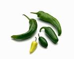Heirloom Tomato Seeds with over 600 varieties of Heirloom Tomato ...