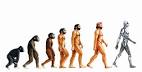 Stages of evolution | The 4 Faces