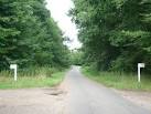 near to Middle Harling, Norfolk, Great Britain. Plantation near East Harling - via Daymix