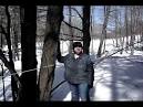 Sweet revenge? Vermont wages war on fake maple syrup vendors with ...