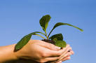 Committee Spotlight: Environmental Affairs « Executive Branch of ...