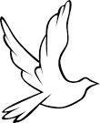 Dove #8 | Animal Discovery Online