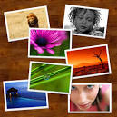 Using Symbols to Create a Quick and Easily Updatable Photo Montage ... 