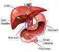 HEPATITIS C SYMPTOMS – Hep C Symptoms Blog