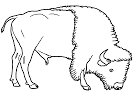 Bison coloring page