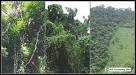 Biomes