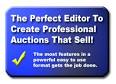 eBay HTML Auction Template Editor and Auction Design Tools Free