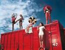 Flutter  The Circus Book by Taschen at Flutter