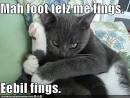 My TV Moments       Evil and funny cats