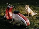 Max's Scooter Page - Silver Pigeon
