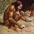 Are Human-chimp Differences Due To Gene Regulation, Not Genes ?