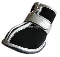 images?q=tbn:ANd9GcQZGhvOUzPpHcpz6IqJtEO
