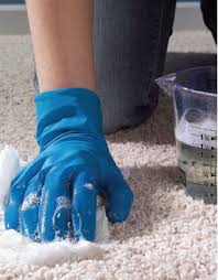  DIY Home Carpet Cleaning Tips