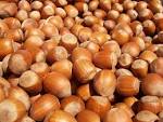 Hazelnut Oil « Faith Amour Hair Care