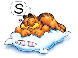 http://t3.gstatic.com/images?q=tbn:ANd9GcQZTXwBROYTyGFfN7pDiu81mIHHAqdvQgFI5sw-UPjAR8h7AzYq