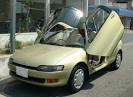 voiture dans un champ