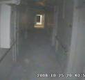 Awesome Or Off Putting  Attack of The Ghost Orbs     With Video