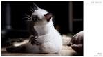 love-making by `werol on deviantART