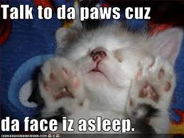 external image images?q=tbn:ANd9GcQZnZIlzKmaZVvTl3SOLNaif_Mcsr1d1JQUUVgo9HLqO63RX3NRDA