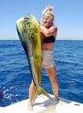 Mahi-mahi or "Dorado" fish pictures and species identification