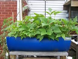 images?q=tbn:ANd9GcQ_7-37GtcG4rQ8SnwfrKgIZLKcxoqmF9N02aBMz4ZWRbMOi_O1