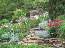 Daylilies, peonies, iris, garden plants from Country Flower Garden