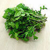 ARUGULA.jpg