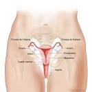 Cáncer de <b>endometrio</b>: Tratamiento (PDQ®) - National Cancer Institute