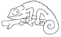 Chameleon coloring page