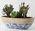 Container gardening