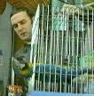 The Dead Parrot Society