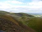 Deep cleugh on south side of Humbleton Hill - via Daymix