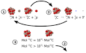 Radiocarbon dating - Wikipedia, the free encyclopedia