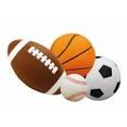 Fun Sports Basketball | Sears.