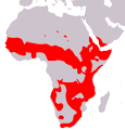 File:Aire-de-repartition-du- genre -Papio.png - Wikimedia Commons