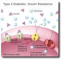 Breakthrough TYPE 2 DIABETES Gene Found | ChattahBox News Blog