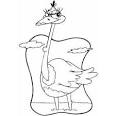 Ostrich coloring page