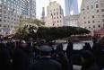 Mt. Olive Spruce Lights Up As Rockefeller Center Tree