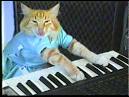 Play Him Off, Keyboard Cat By Charlie Schmidt