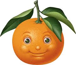 images?q=tbn:ANd9GcQbQfeDhP_6s09l2pO9R04s5D9HHPXMx95hQCIu2VZZVa9GVrBY2w