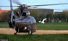 Lonely swan is grounded after he fell in love with a helicopter