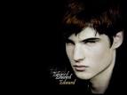 The Fan choice for Edward
