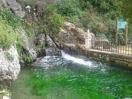 Parque Municipal de la Fuente del Río
