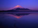 fuji