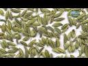 How to Get Rid of Bad Breath