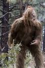 Sasquatch spots a magically