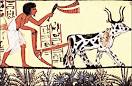 Egyptian plow 1200 BC - public domain clip art image @ wpclipart.